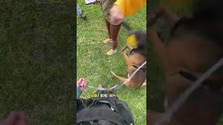 Most days in Dog Training aren’t the big dramatic transformation moments you see online