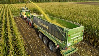 The Krone Team | Van Eijck Alphen | Forage maize harvest 2023