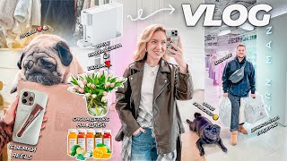 картинка: VLOG: МОЯ ПОВСЕДНЕВНАЯ ЖИЗНЬ!🌷🩶 Весна, Муж Сменил ГАРДЕРОБ, Детокс, Фуня Приболел, Съемки REELS