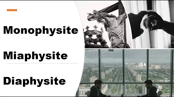Monophysite? Miaphysite? Diaphysite?