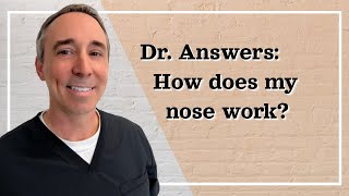 How Your Nose Works:Clinical Concepts Video