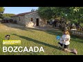 Caanım Tenedos : Bozcaada - Geziyorum 24