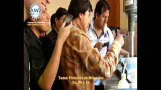 Flotacion de Minerales - practica