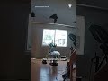 Rescatan a perro que se escondía bajo trampolín durante incendio