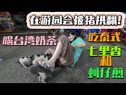 小雨在游园会被猪拱翻了！今天在台湾奶茶，吃泰式七里香和蚵仔煎！