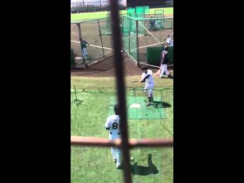 オリックス 安達了一 グレゴリー・べロス 打撃練習