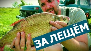 Рыбалка на реке Дон: поймал крупных лещей!