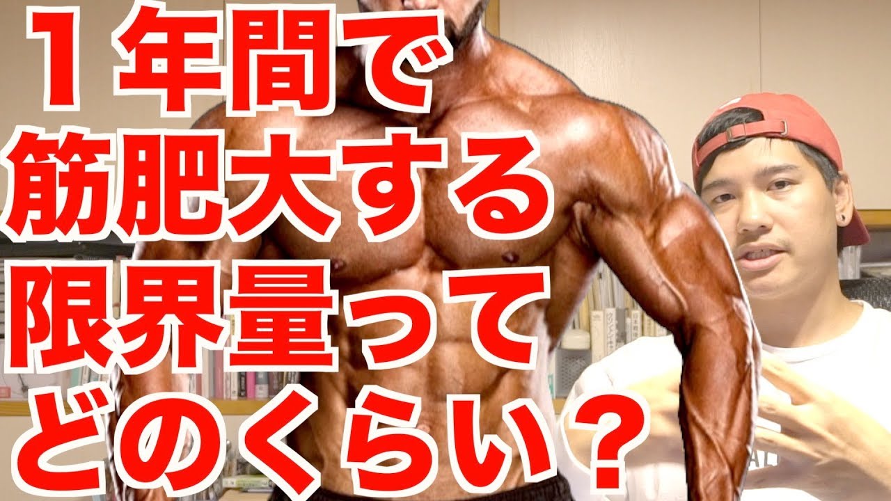 【筋肥大】1年で増える筋肉の限界量。