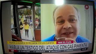 ACTUALIDADMar del Plata: pelea, gas pimienta y heridos en el trencito de la alegría