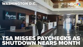Tsa Agents Miss Paychecks, Airport Delays Worsen As Partial Shutdown Nears One Month