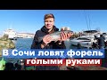 Форель кишит в Черном море. Жители Сочи ловят буквально голыми руками