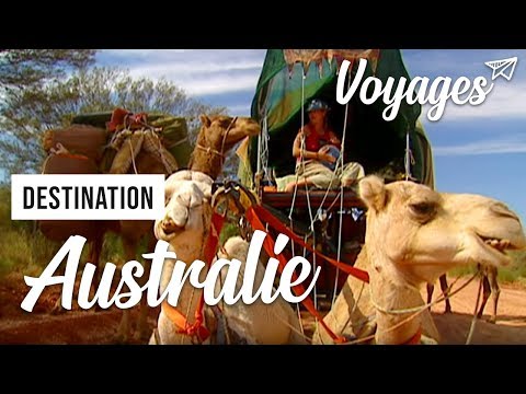 Vidéo: Alerte Du Concours: Gagnez Un Voyage En Australie - Réseau Matador