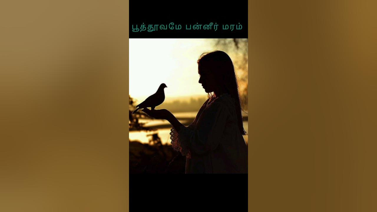 Vellai Pura Ondru... Song #| Puthukavithai movie song #| kousha _112πΉπ Vellai Pura Ondru... Song #| Puthukavithai movie song #| kousha _112πΉπ