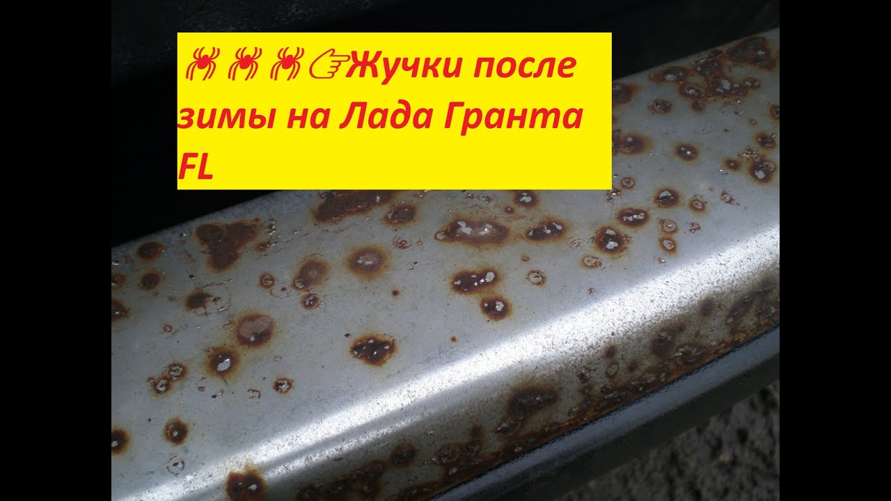 Жучки на гранте