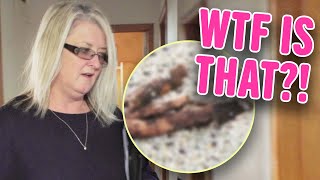 What A Load Of CRAP! Property Manager Cleans Up