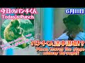 6.11パンチくん途中退場!?Punch leaves the stage midway through!? 今日のパンチくん Today's Punch 市川市動植物園