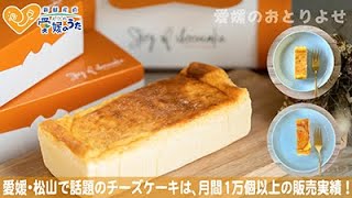 チーズ好き大絶賛！月間10,000個以上の販売実績のチーズケーキ｜愛媛のうた