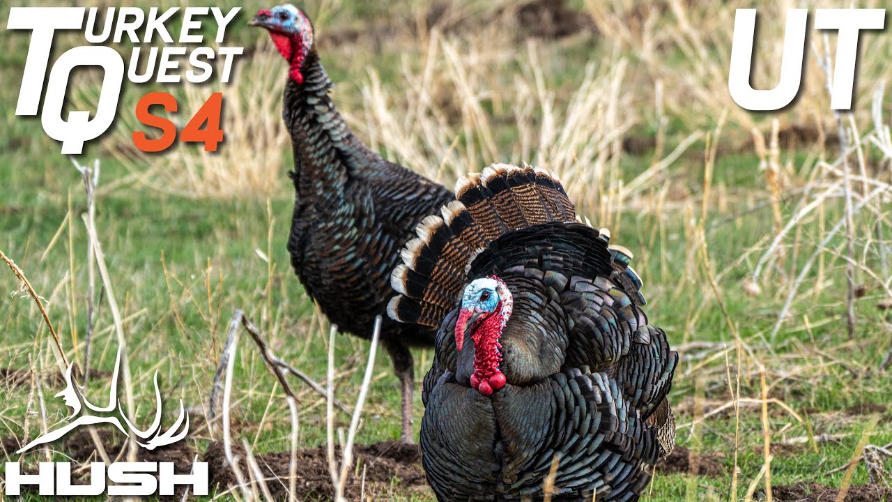 TURKEY QUEST | THE INVISIBLE FORCE FIELD | S4E03 - YouTube