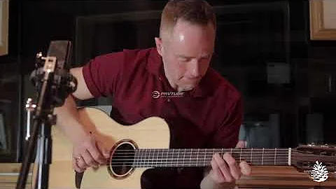 Paul Everett - Acoustic demo