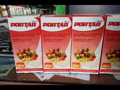 Review Portar 250 SC, Paklobutrazol untuk Tanaman yang Sulit Berbuah