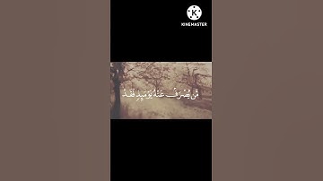 تلاوة طيبة وجميلة للقرآن الكريم ينشرح صدرك