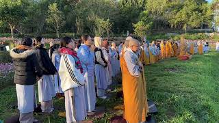 Tinh Hoa NIKAYA - Mùa Xuân Viễn Ly - Tâm Ơi Vui Lên Nhé .