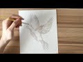 Dove watercolor tutorial  marni manning art