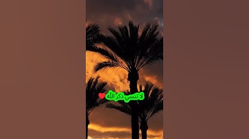 ان الله وملائكته يصلون علي النبي #قران_كريم #قرآن #تلاوة_خاشعة #المصحف #قرآن_كريم