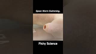 Spoon Worm's Crazy Movements ! #shorts