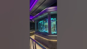 Queue line for for Guardians Of The Galaxy Cosmic Rewind (Part 3)