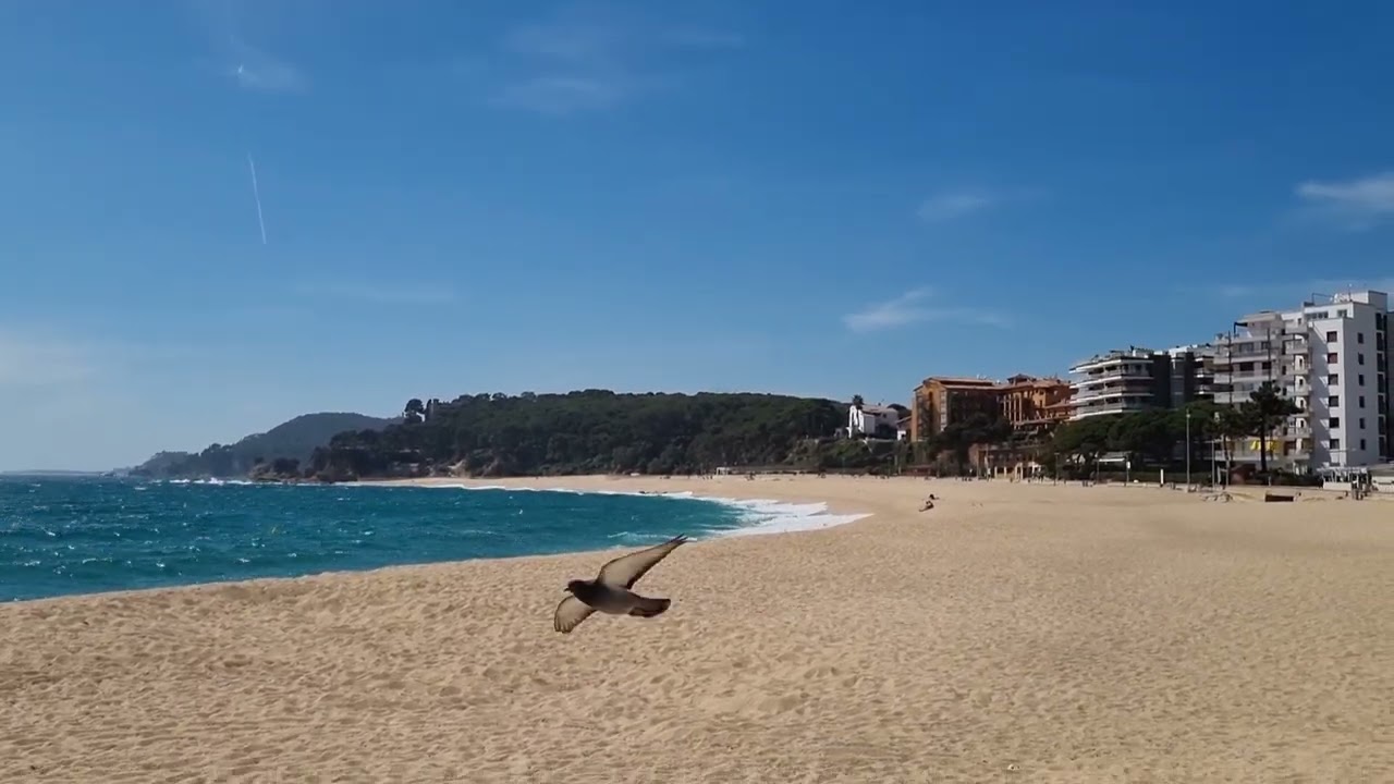 Рекорд малого веретенника.