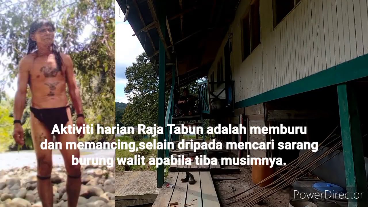 Hutan Ulu Limbang Bersama Raja Tabun Mencari Tempat Untuk Memasang Jerat Babi Hutan Youtube