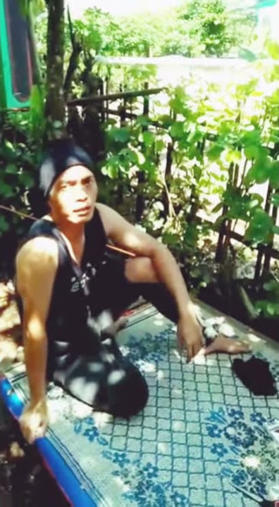 Story wa viral lebaran gak mudik