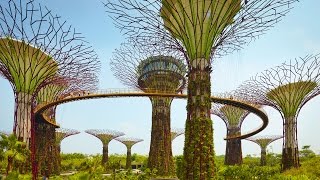 Celebrate Singapore’s 50th Anniversary with Viator