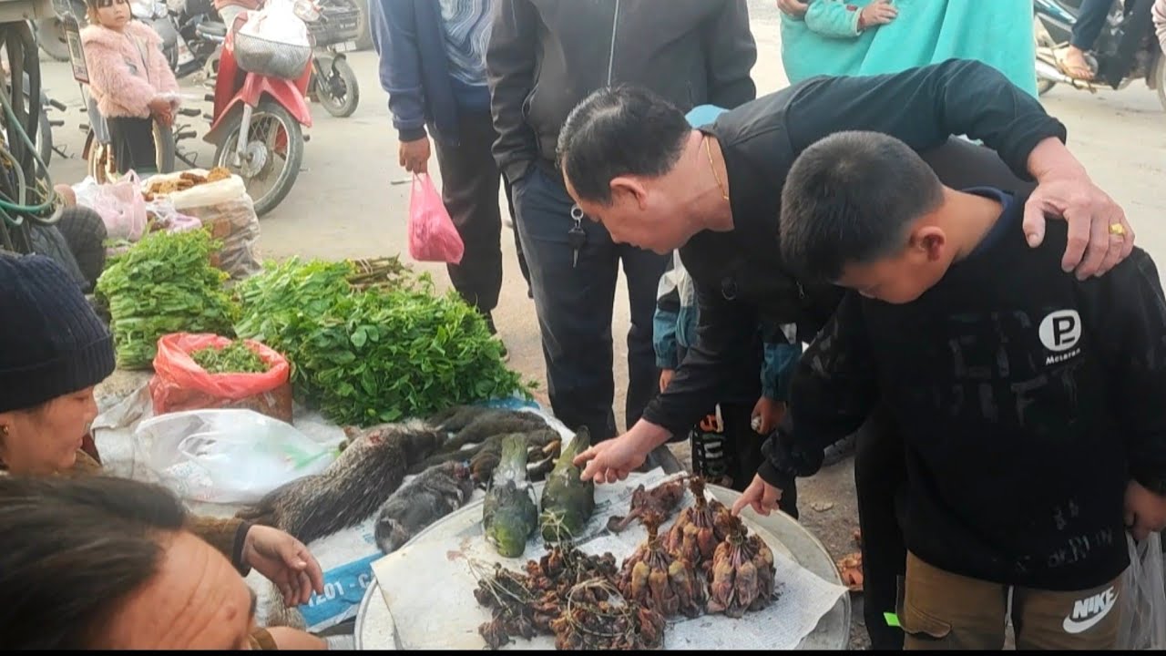 ncig tab laj xeev khuam yuav nploos yuav ntses quav iab los ua noj.7/2/2026