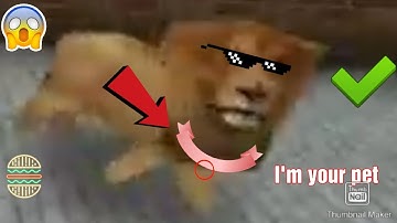 how to tame a lion in mini Block Craft