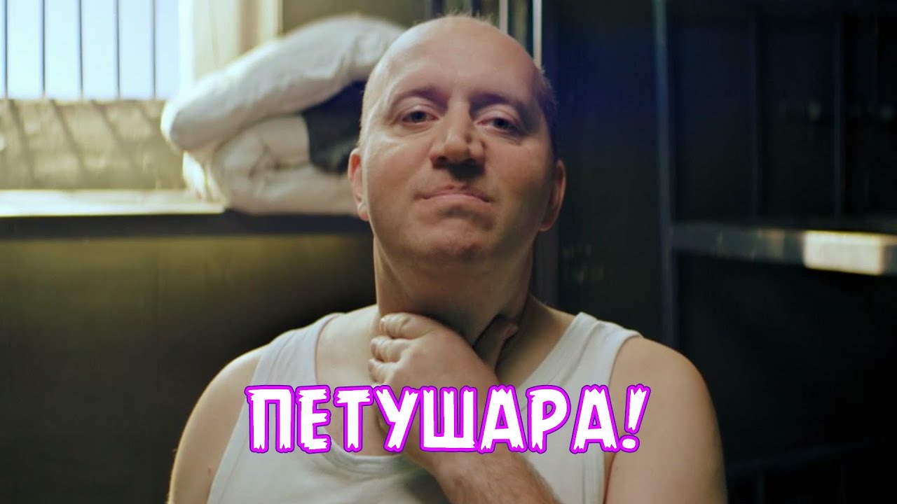 Володя яковлев петушары. Яковлев здорова петушары. Петушары. Петушары. Красивый петух.