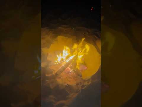Into the Heart of the Liwa Desert: A Magical Overnight Camping Experience in the Empty Quarter