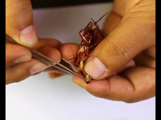 Yashirin sobiq jinsiy aloqa Salma Hayekning yalangoch fotosuratlari