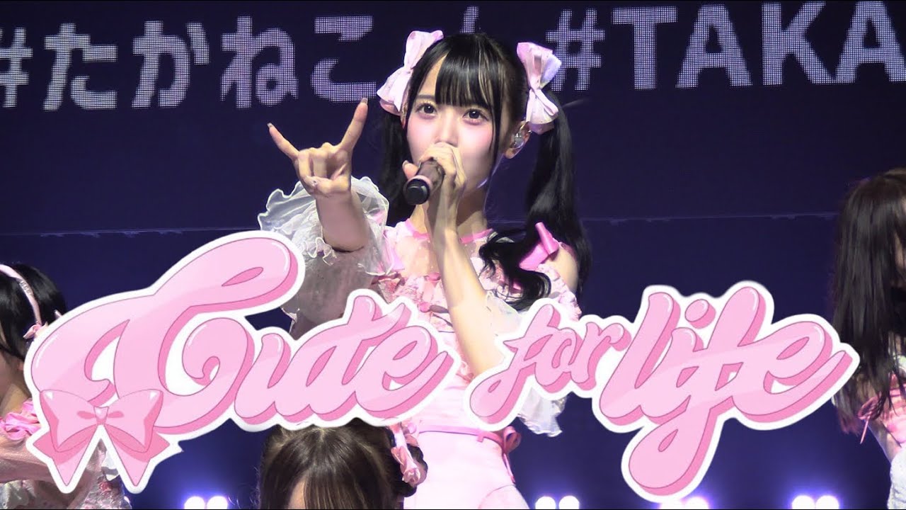 [4K] 250824 타카네노 나데시코 - Cute for life / 모모나 직캠 ももな / 高嶺のなでしこ / LIVE 2025 SUMMER in SEOUL 2부