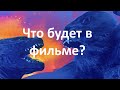 Новости. Годзилла против Конга. Что будет в фильме?