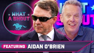 Everything has gone PERFECT since Newmarket | Aidan O&#39;Brien | Horse Racing Tips | What A Shout