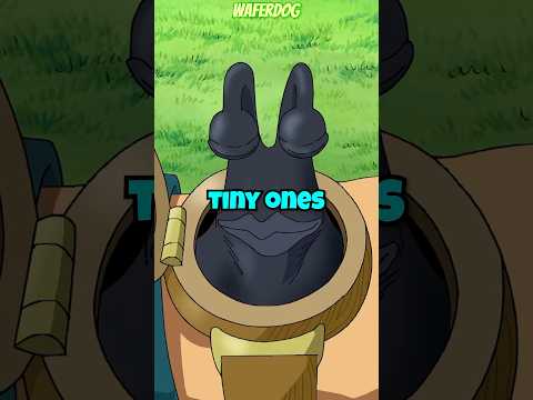 How Do Transponder Snails Work 