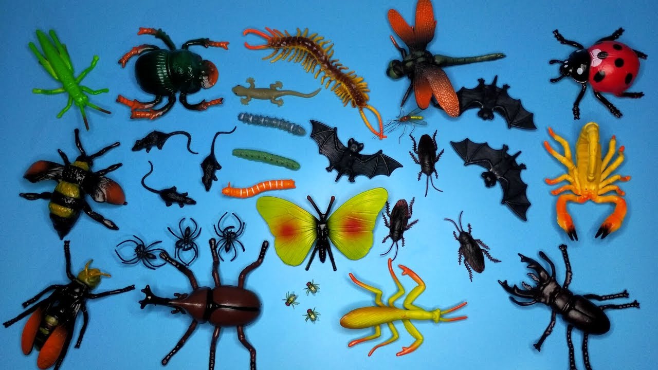 Nama dan Suara Serangga, Reptil, Belalang, Kumbang, Cicak, Nyamuk, Lalat, Kelelawar, Tikus, Kecoa