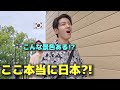 お散歩が好きな韓国人の友達と散策したら…日本の景色が美しすぎて言葉を失いました...