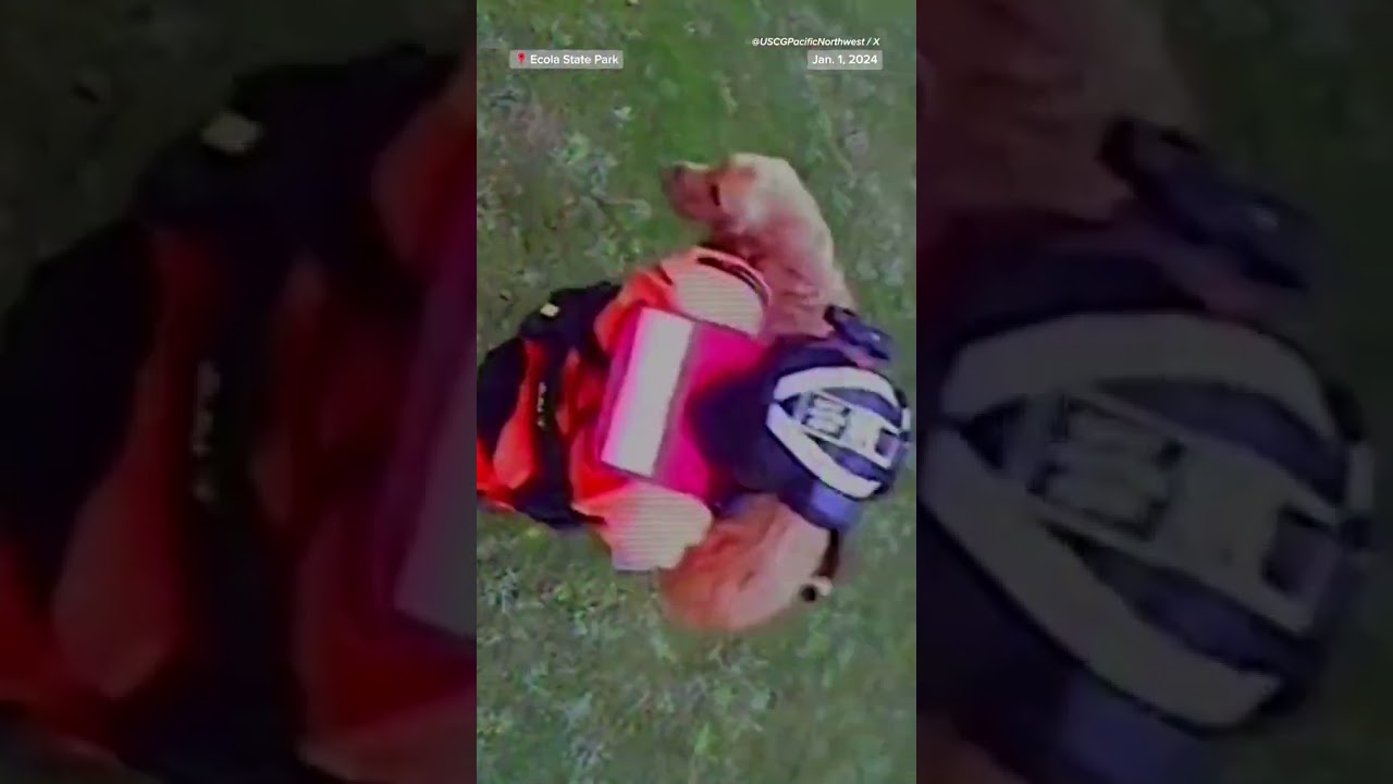 Coast Guard rescues dog that fell off cliff