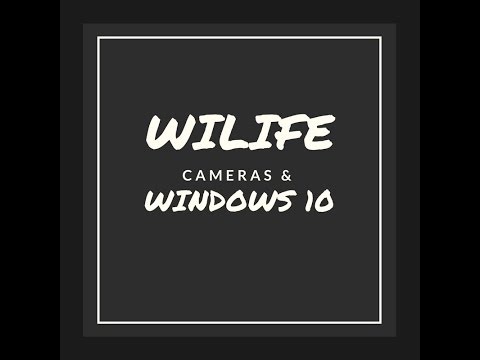 Wilife Cameras and Windows 10