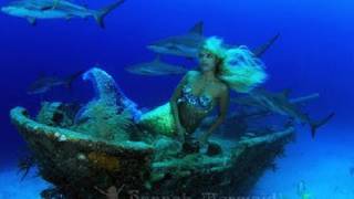 Hannah Mermaid swims with Sharks at Shipwreck