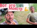 Все в шоке с рыбы которую я поймал 😱 Сколько она весит 🧐