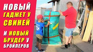 видео: Распаковка Зернодробилки ТОР | ГЛАВНАЯ ОШИБКА при выращивании бройлеров | Новая Клетка для Бройлеров картинка: Распаковка Зернодробилки ТОР | ГЛАВНАЯ ОШИБКА при выращивании бройлеров | Новая Клетка для Бройлеров